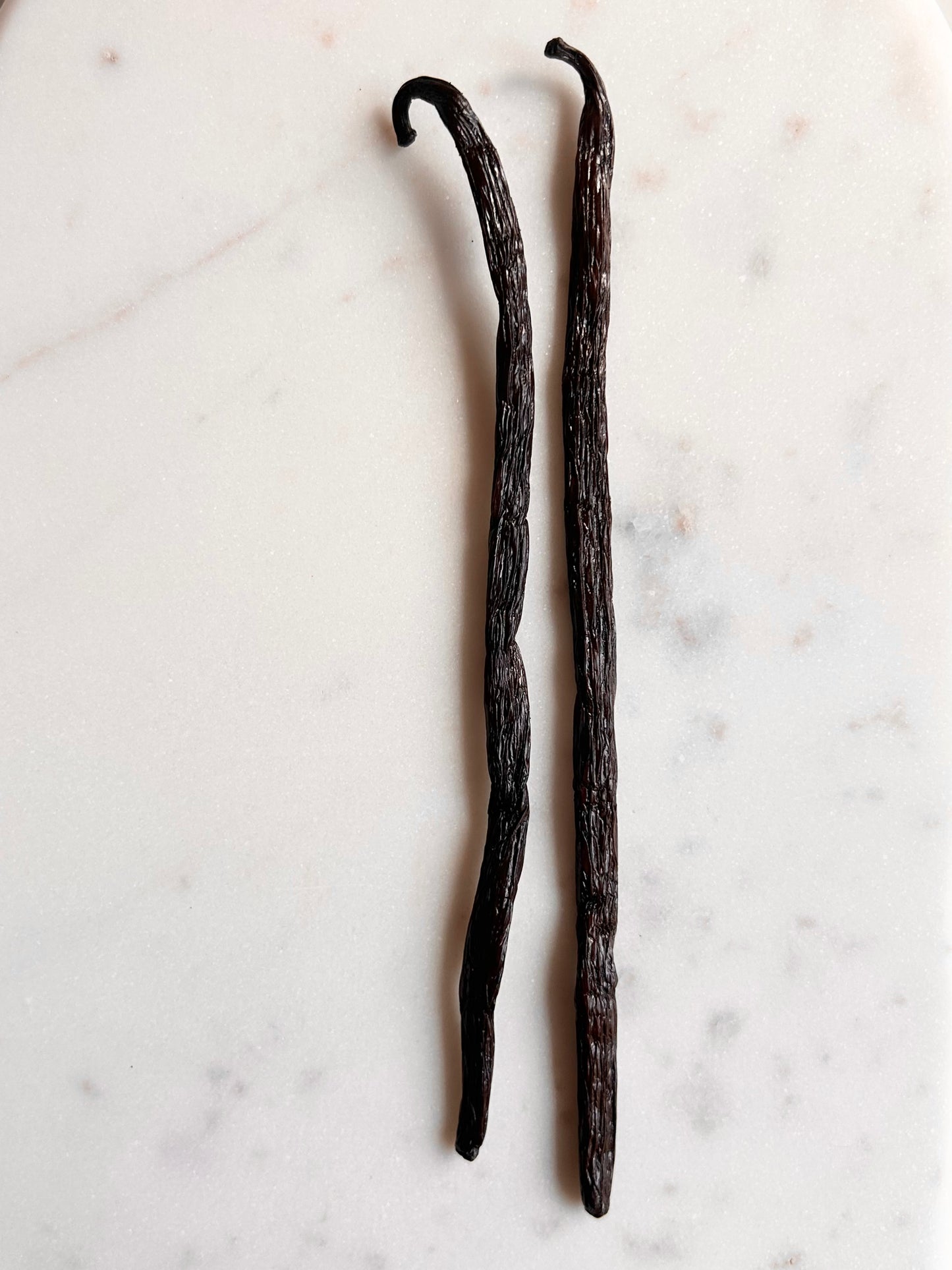 Vanille Bourbon Gourmet XL